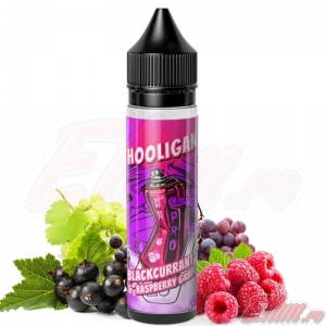 Lichid Blackcurrant & Raspberry Grape HOOLIGAN 40ml